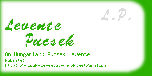 levente pucsek business card